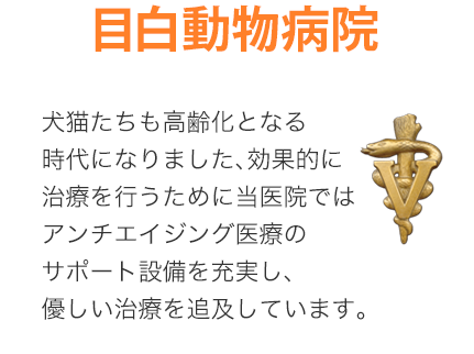 犬猫たちも高齢化となる時代になりました、効果的に治療を行うために当医院ではアンチエイジング医療のサポート設備を充実し、優しい治療を追及しています。